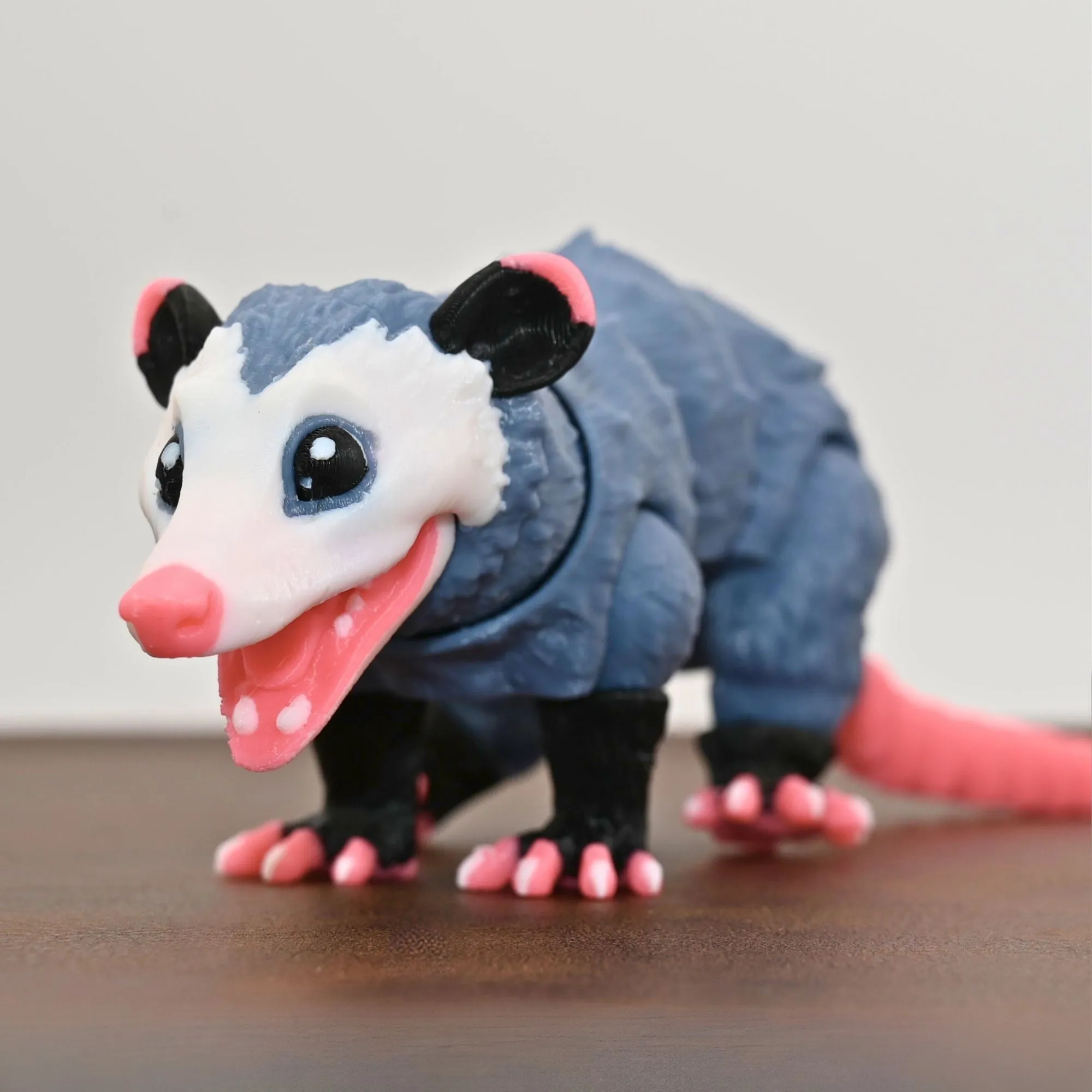 Opossum Fidget