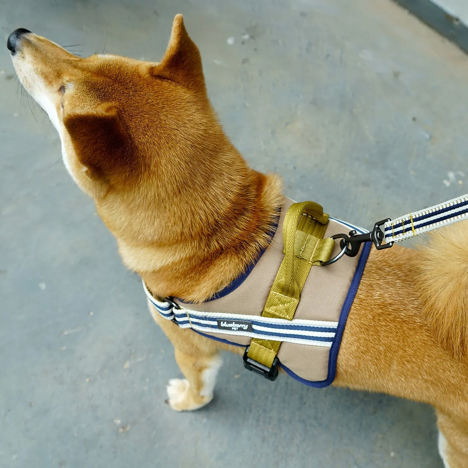 Service K-9 | 3M Reflective Dog Harness in Multi-colored Stripes