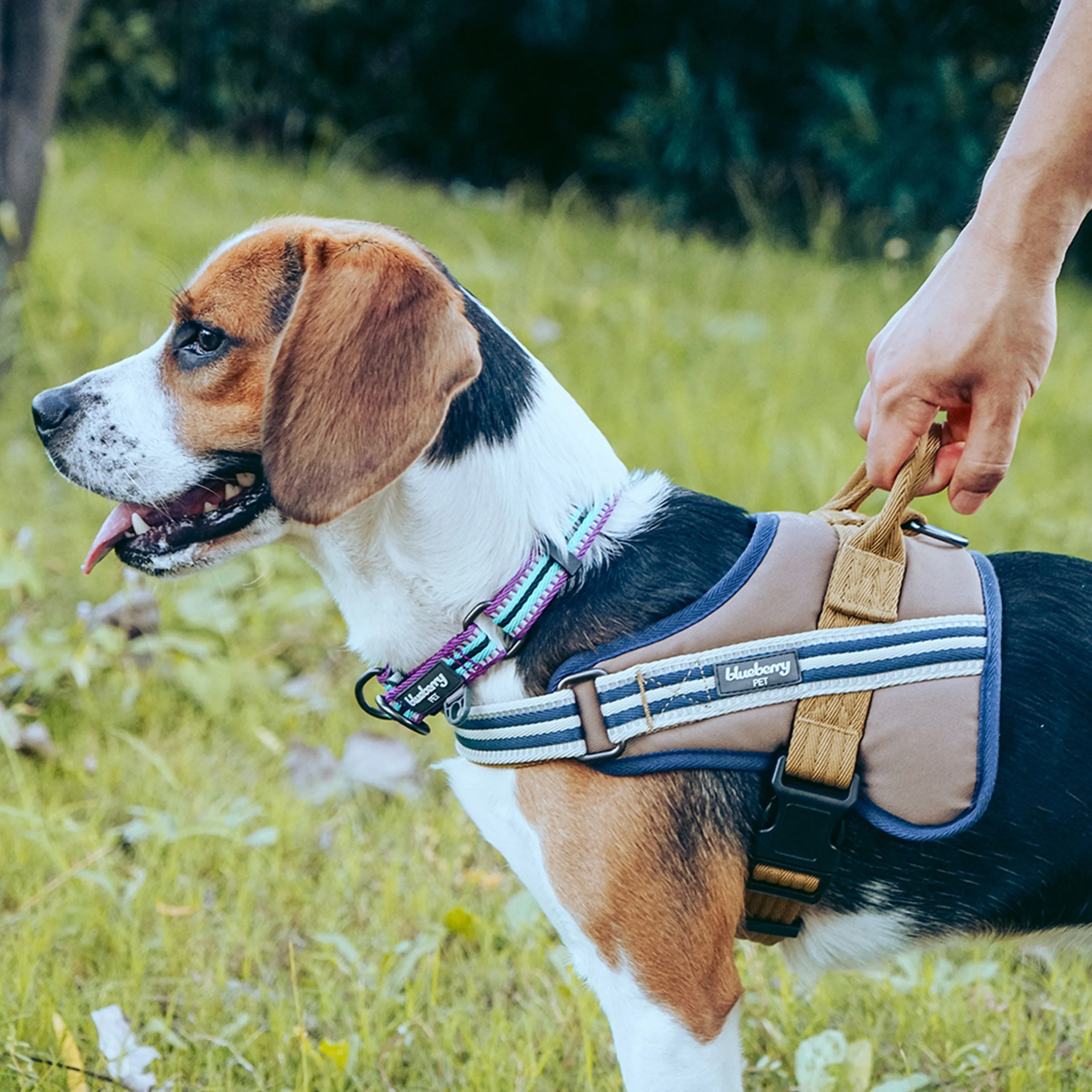 Service K-9 | 3M Reflective Dog Harness in Multi-colored Stripes