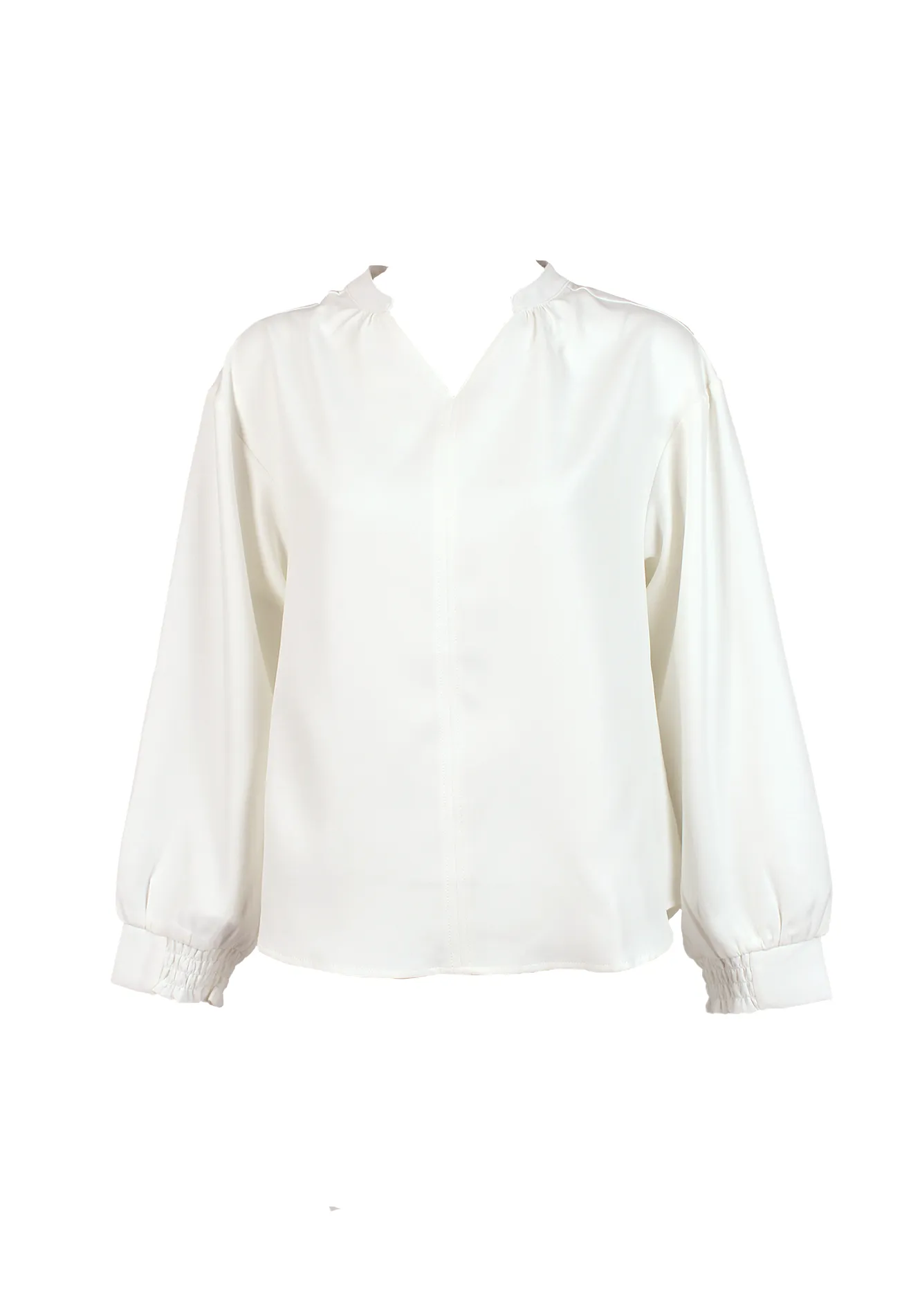 Wing V Collar Long Sleeves Elegant Blouse